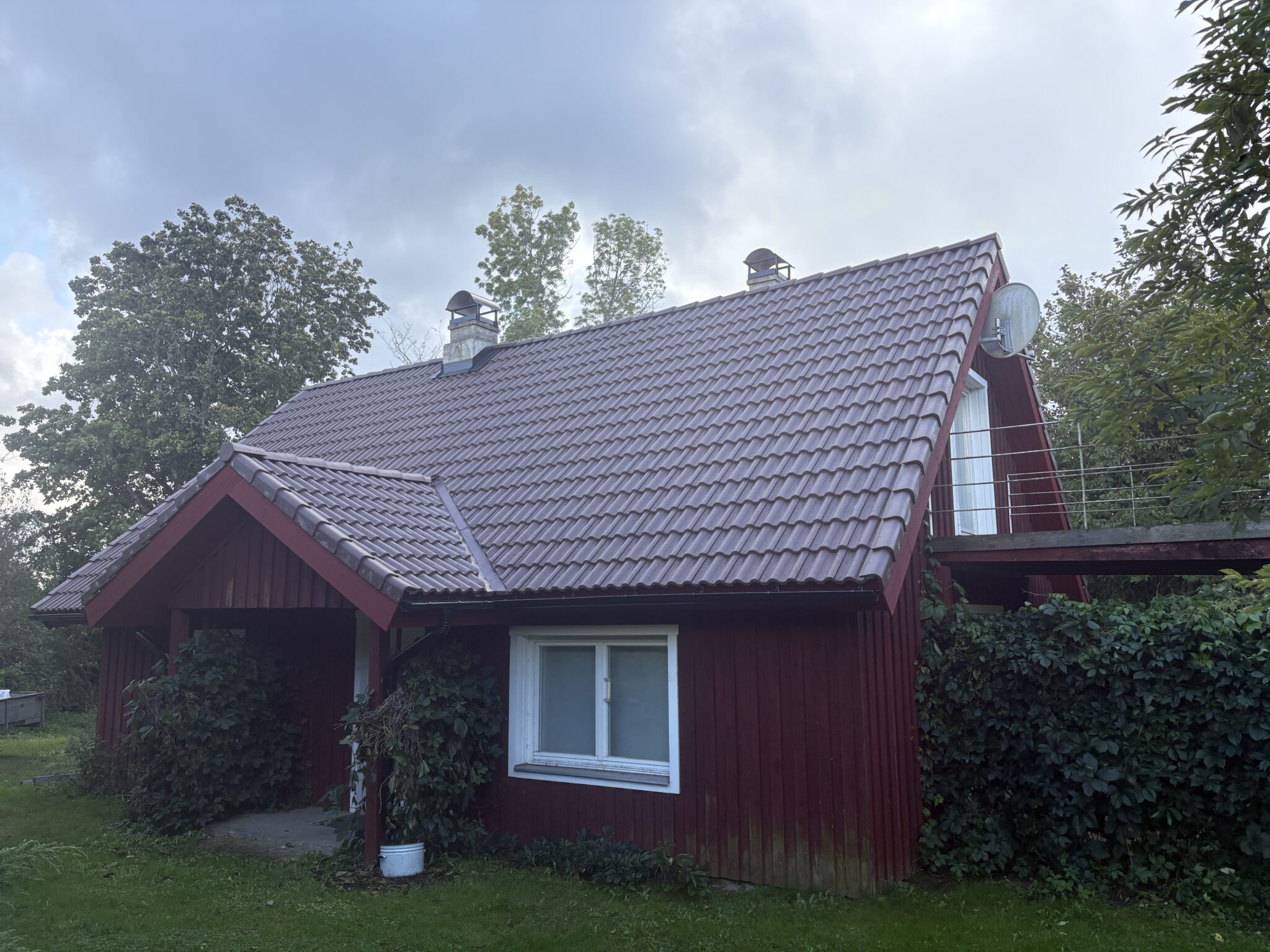 pruun kivikatus